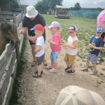 IMG_20240605_110344