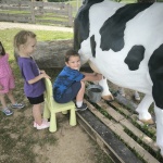 IMG_20240605_113110