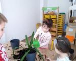 hortiterapia-1