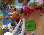 20190222_094248