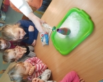 20190222_094542