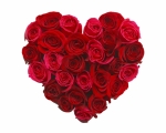 256384_roze_serce
